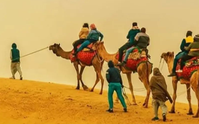 Camel